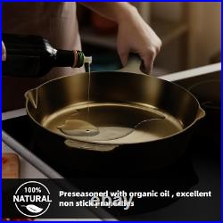 12 Modern Heirloom Cast Iron Skillet Seasoned & Polished Finish
