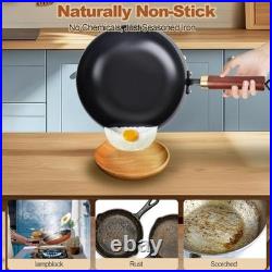 Hand-Forged 9.45 Japanese Iron Pan, Uncoated Non-Stick, Durable Thick Pot with