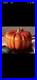 LeCreuset NEWEnameledCastIronPumpkinCocottePersimmonColor4Qt