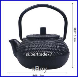 USA Miniature MINI Cast iron teapot Cookware Tiny Kitchen 50ml Heat Boil water